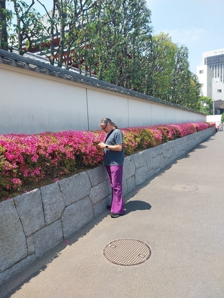 Rowan rocking out some fuschia bellbottoms.