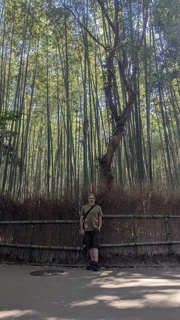 Ro at Arashiyama Bamboo Forest